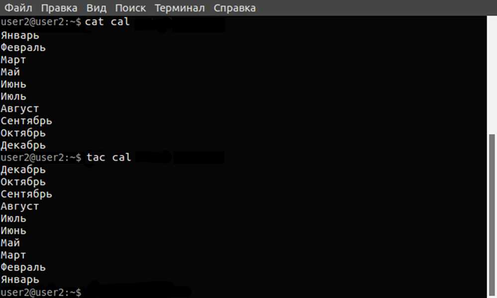 Руководство для начинающих по использованию терминала в linux mint