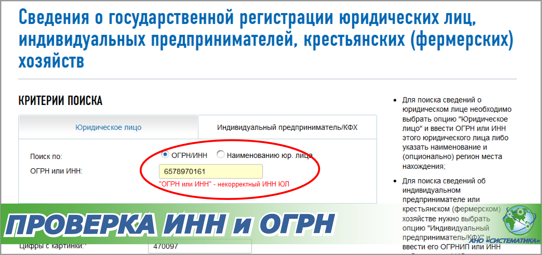 Сведения о малом предпринимательстве по инн. Проверка по ИНН. Проверка юр лица. Проверка компании по ИНН. Корректный ИНН.