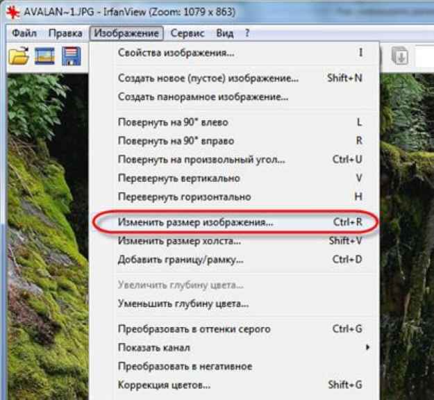 Лучшие способы сжатия изображений в windows 11/10 - zanz