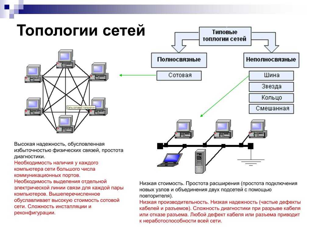 Устройство и основные понятия локальной сети