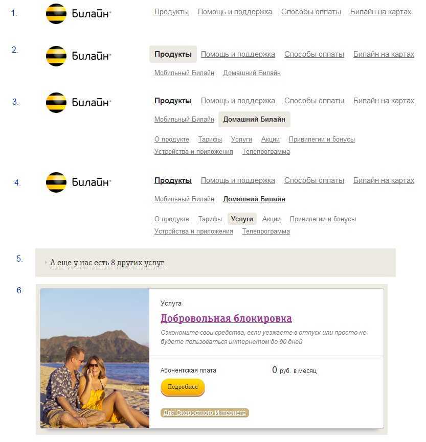 Добровольная блокировка домашнего интернета Билайн: порядок разблокировки На какой срок можно можно заблокировать Условия использования услуги Сколько стоит услуга В каких случаях необходимо пользоваться этой услугой