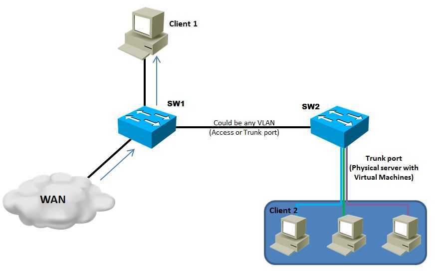 Для чего нужен span. Порты Trunk и access. Транк Порты. Trunk Port и access Port. Зеркалирование портов.