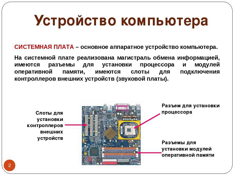 Презентация по информатике. устройство компьютера  доклад, проект