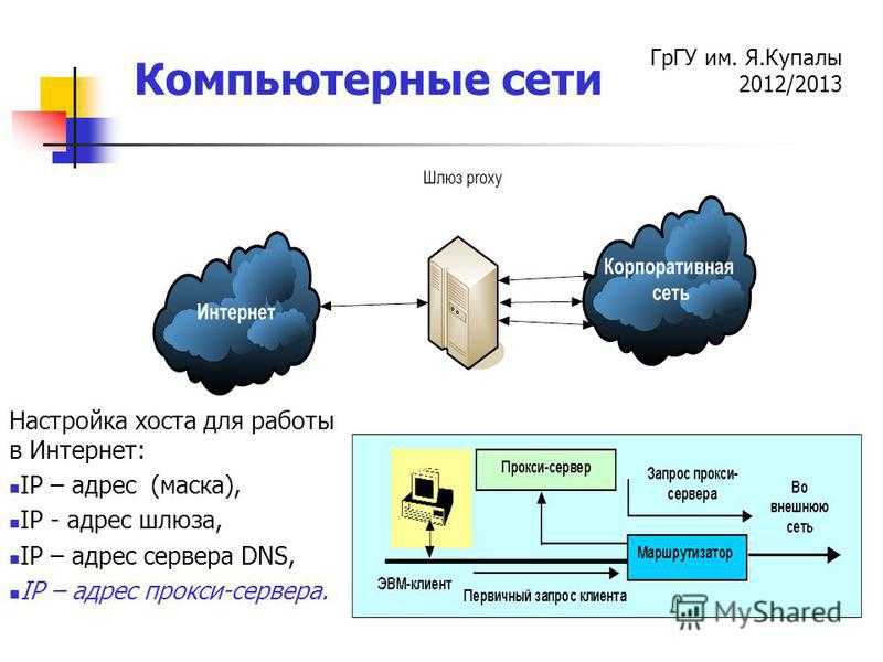 Твой сетевичок