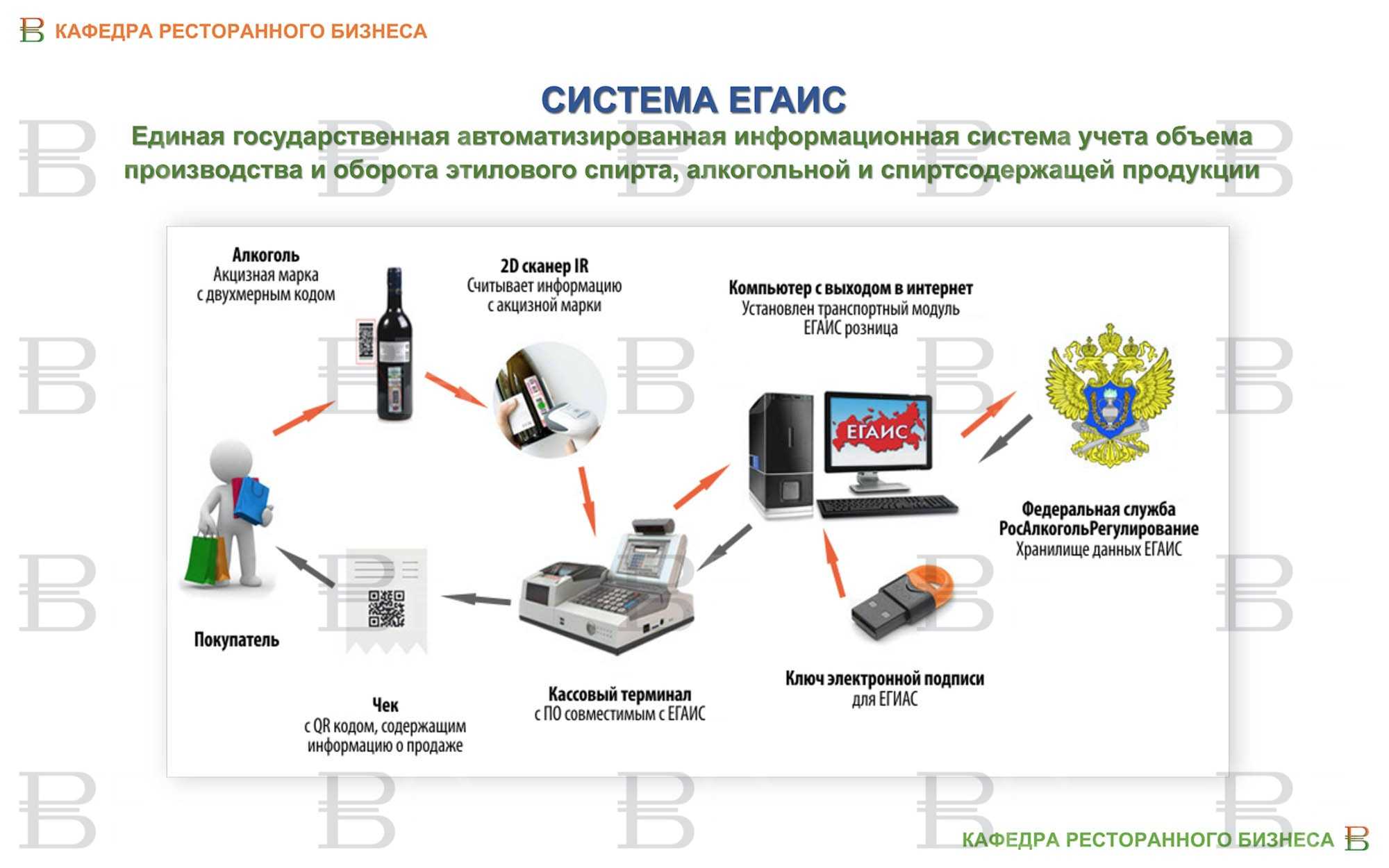 Приложение для проверки алкоголя на подлинность: по акцизной марке или штрих коду