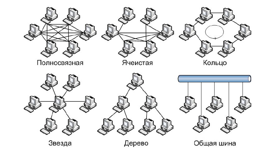 Топология сети - топология компьютерных сетей Поиск картинок