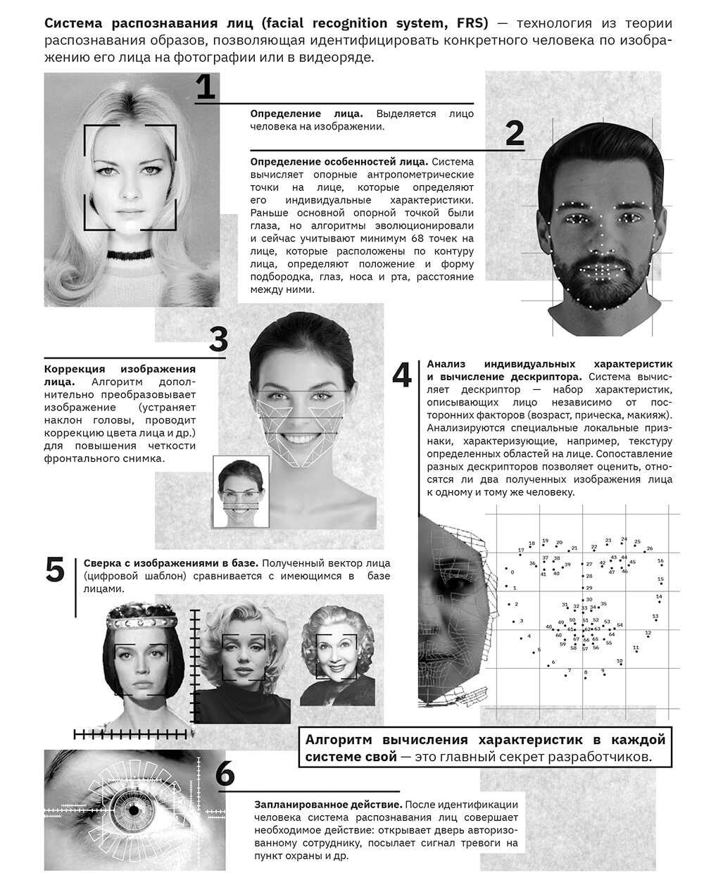Как называется программа определяющая возраст. онлайн определение возраста по фотографии. андроид приложения для определения возраста по фото
