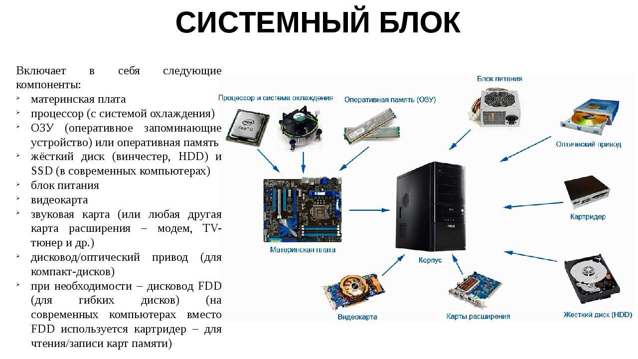 Каждая из которых включает в. Состав системного блока компьютера схема.