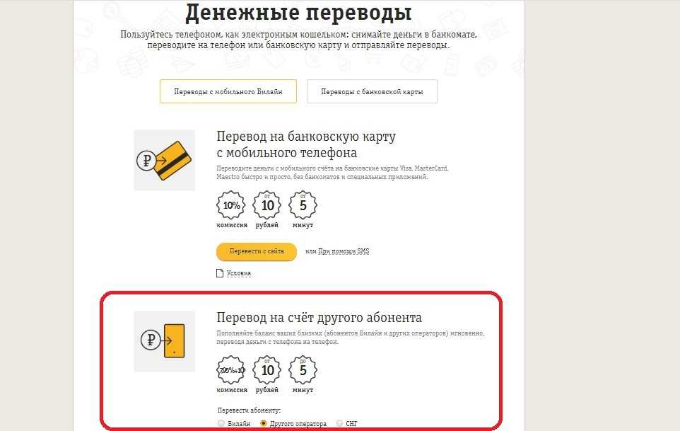 Как раздавать интернет на билайне: тарифы, обход ограничения