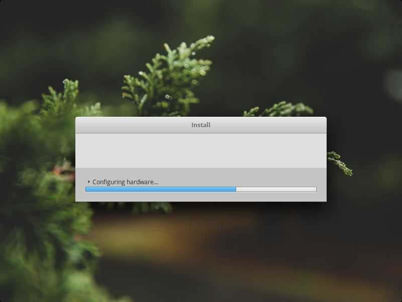 Год с elementary os вместо windows