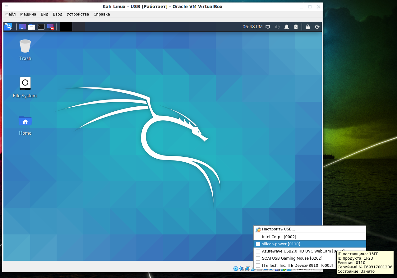 Как установить kali linux на компьютер: пошаговая инструкция по настройке