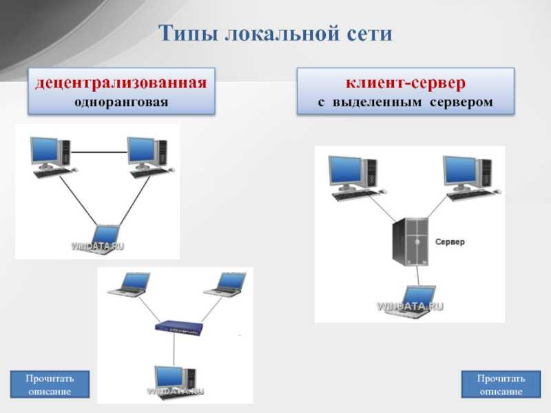 Устройство  и основные понятия локальной сети