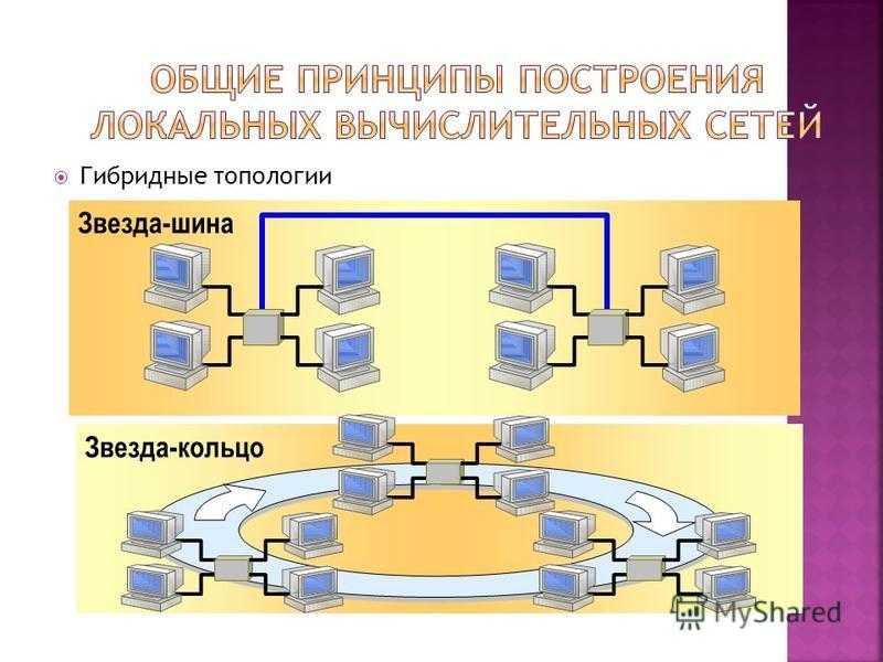Как сделать сеть топологии шина » posetke