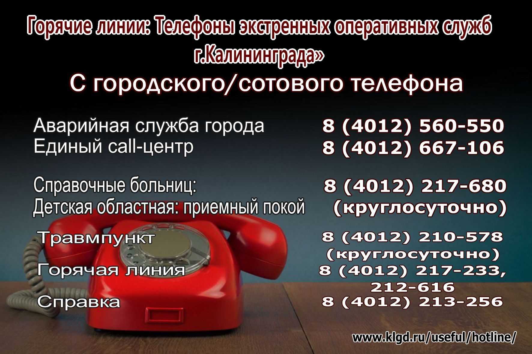 Бесплатный звонок на телефон