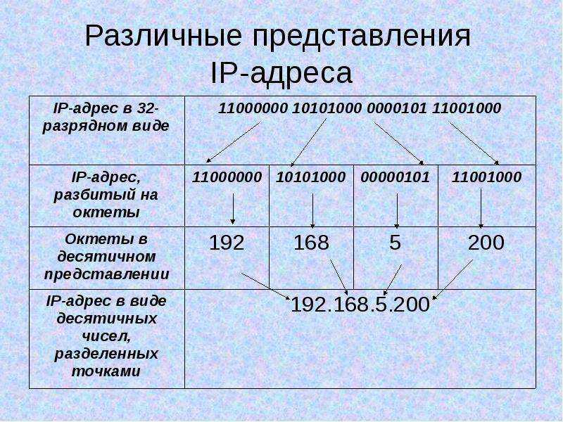 Твой сетевичок