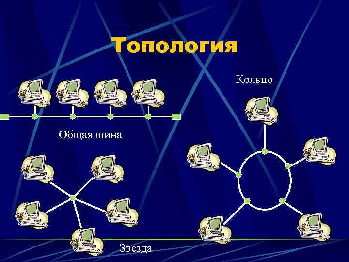 Топология сети: 6 сетевых топологий, объясненных и сравненных 2023