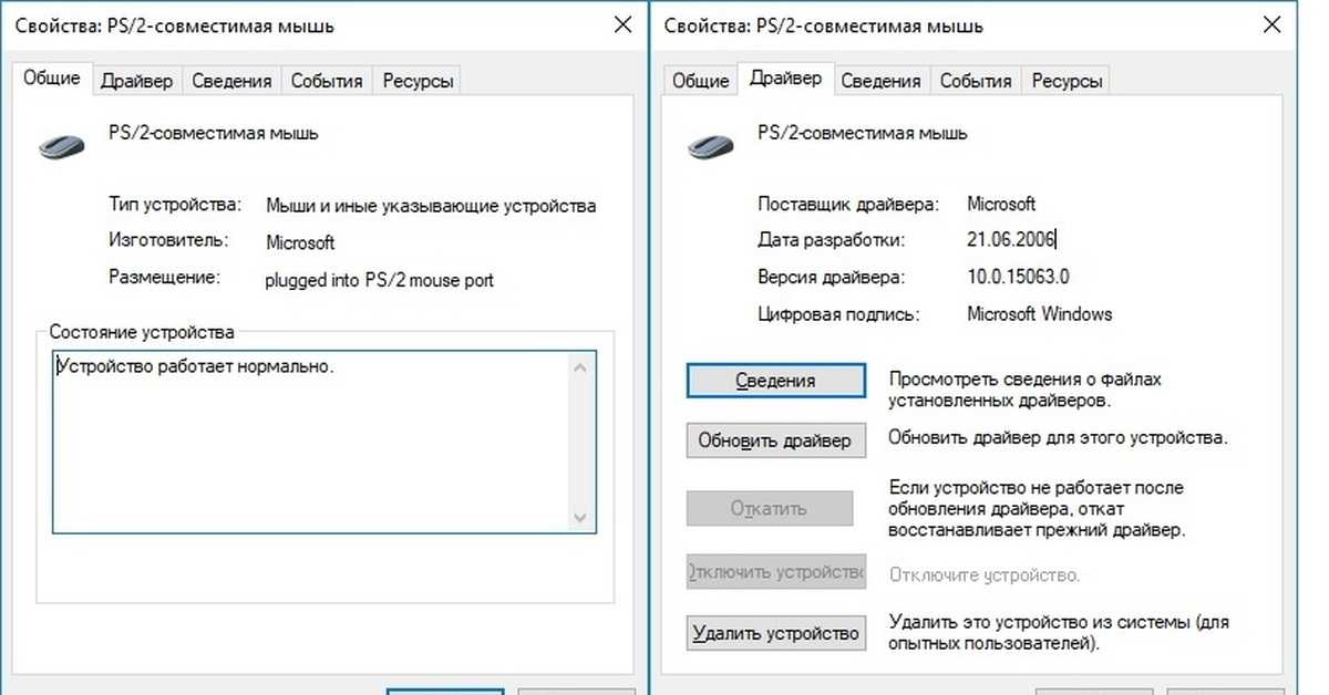 Что делать если не работает мышка на ноутбуке