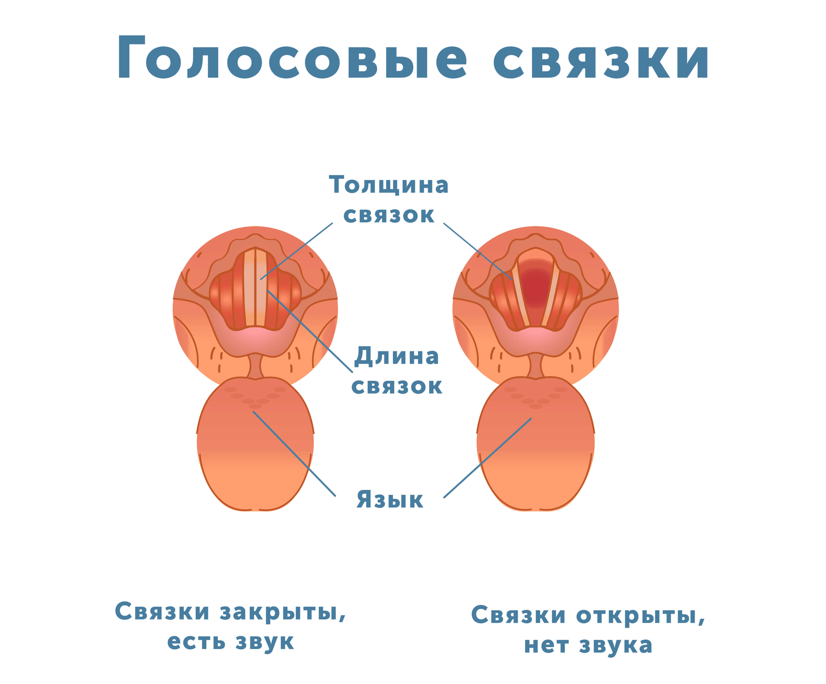 Программы для изменения голоса в дискорде и играх